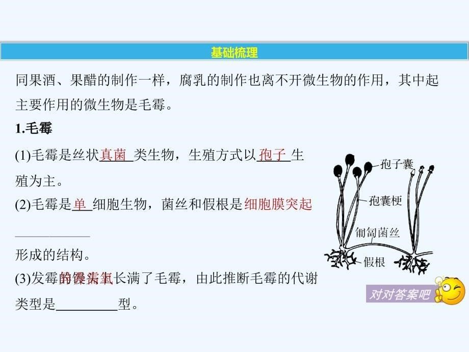 2017-2018学年高中生物 第3章 食品加工技术 第10课时 豆腐乳的制作同步备课 北师大版选修1(1)_第5页