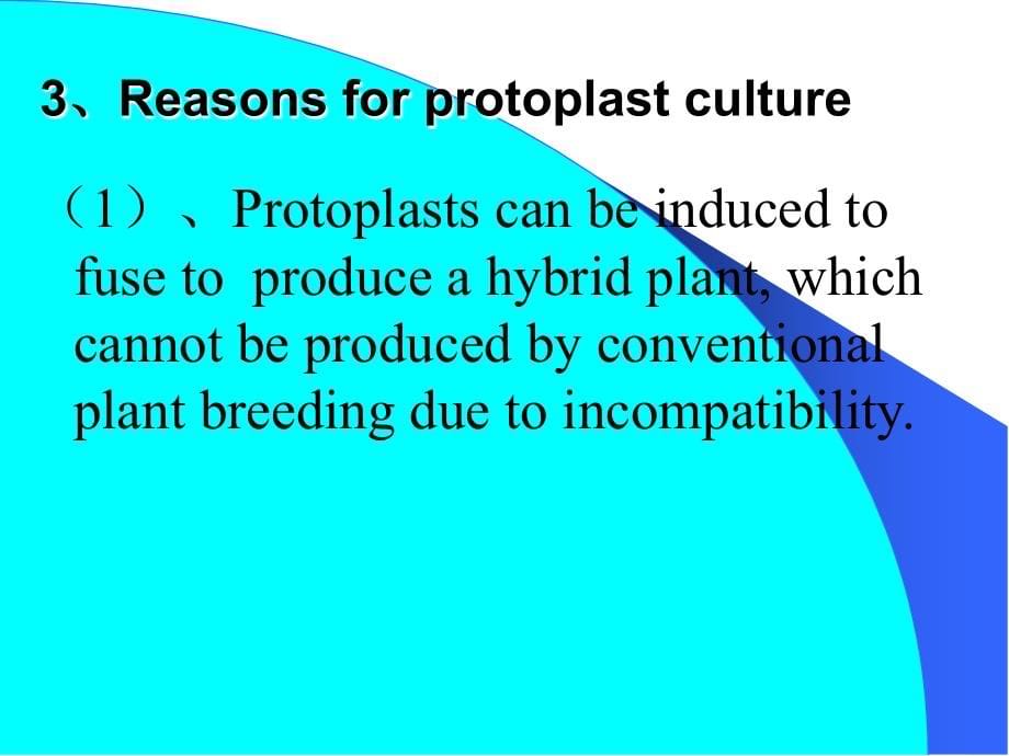 原生质体培养教学材料_第5页
