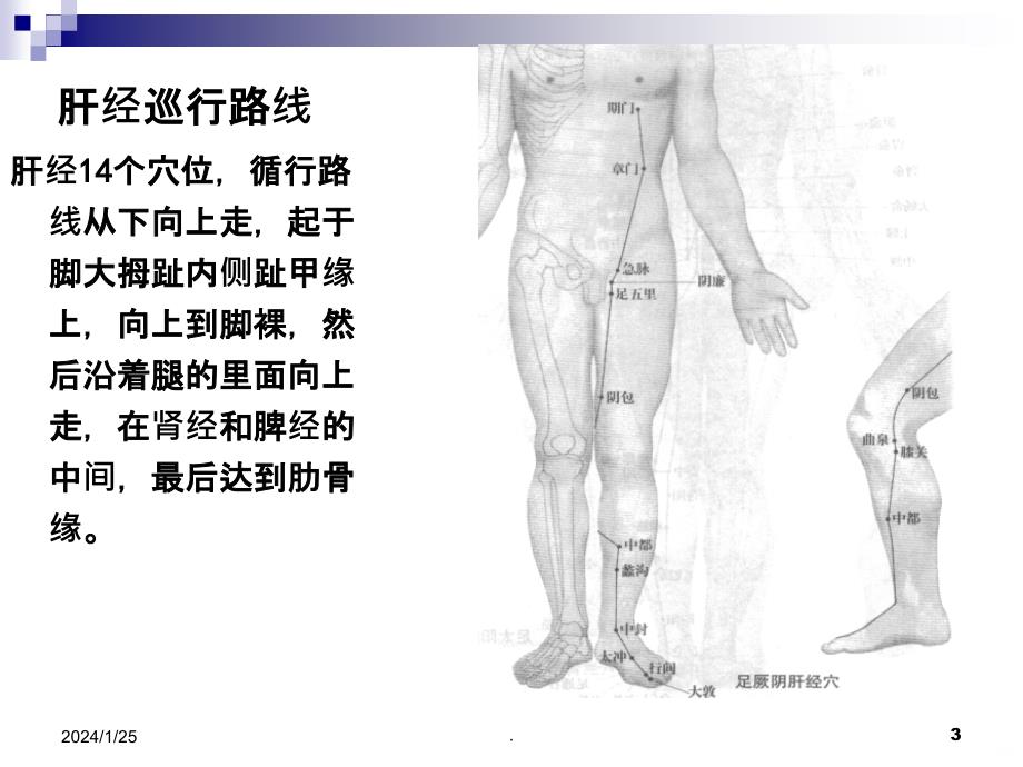 胆经肝经PPT课件_第3页