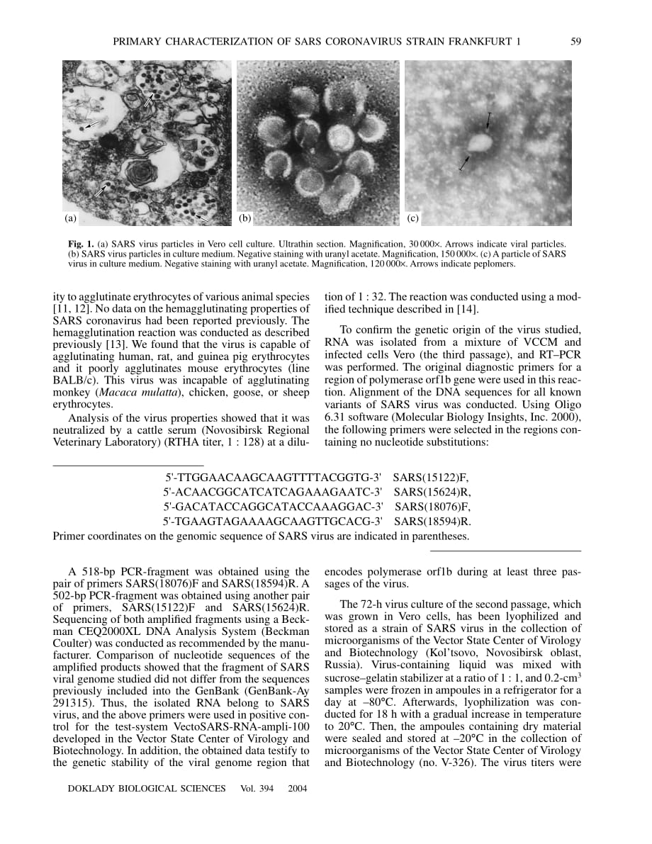 2004 Primary Characterization of SARS Coronavirus Strain Frankfurt 1_第2页