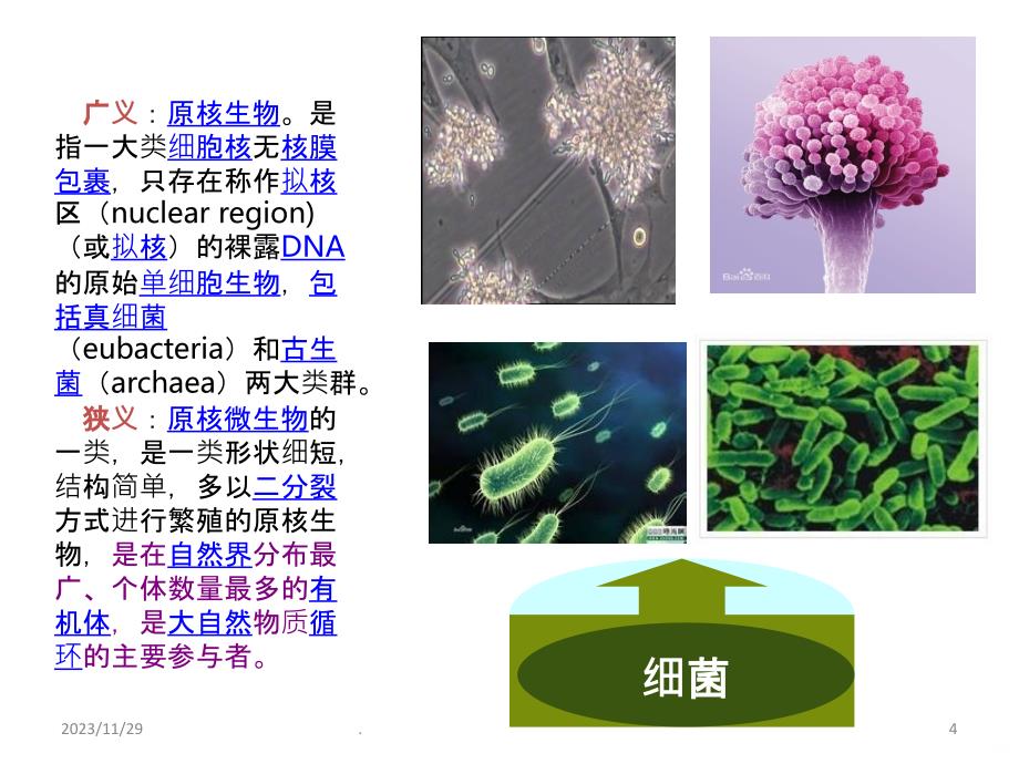 抗菌药物使用与多重耐药菌防控精讲PPT课件_第4页