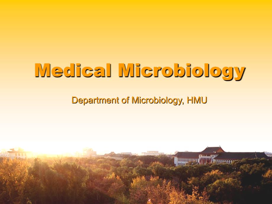 奈瑟菌属-Microbiologyincludes精编版_第1页