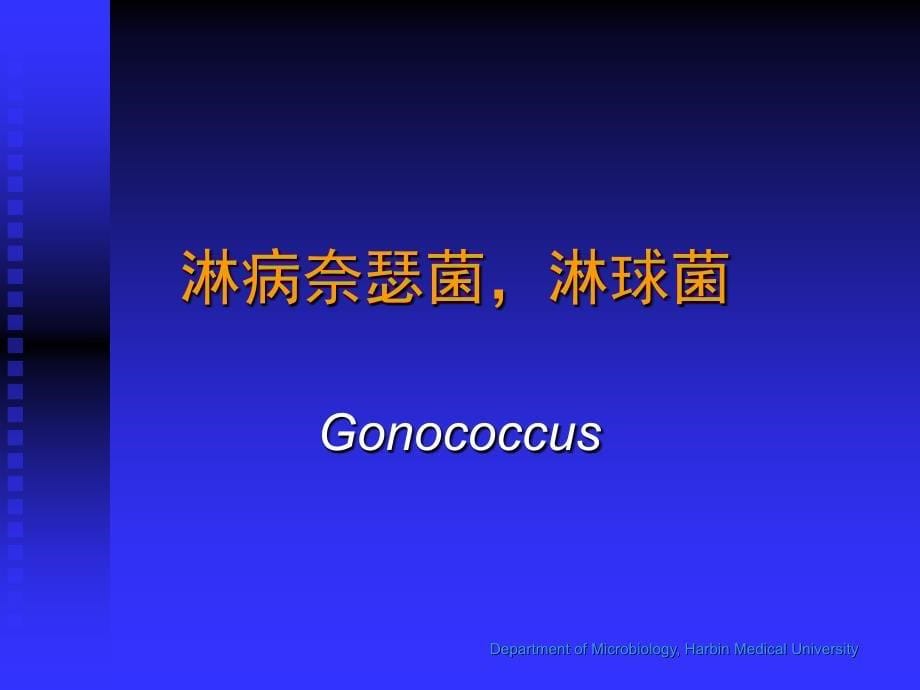 奈瑟菌属-Microbiologyincludes精编版_第5页