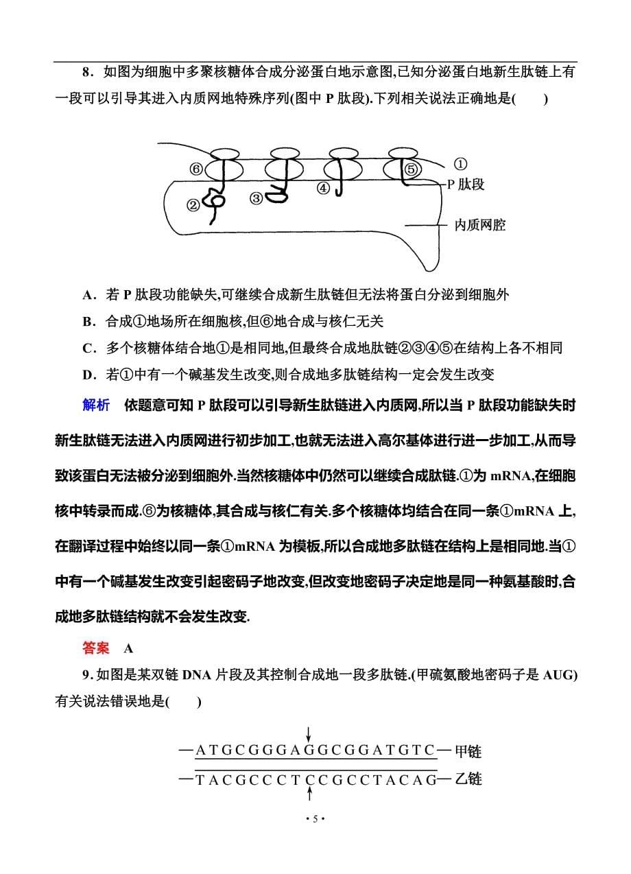 名师一号全国高考生物一轮后限时练：基因的表达_第5页