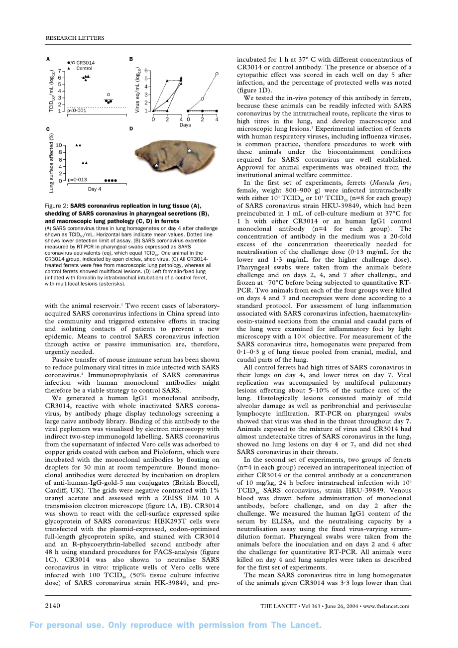 2004 Human monoclonal antibody as prophylaxis for SARS coronavirus infection in ferrets_第2页