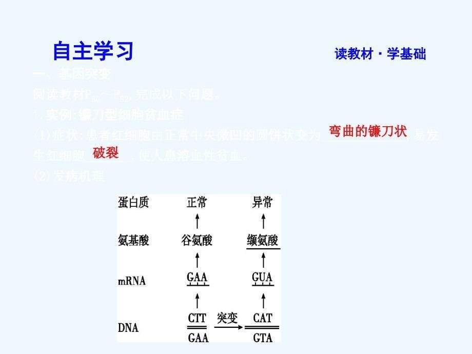 2017-2018学年高中生物 第5章 基因突变及其他变异 第1节 基因突变和基因重组 新人教版必修2(1)_第5页