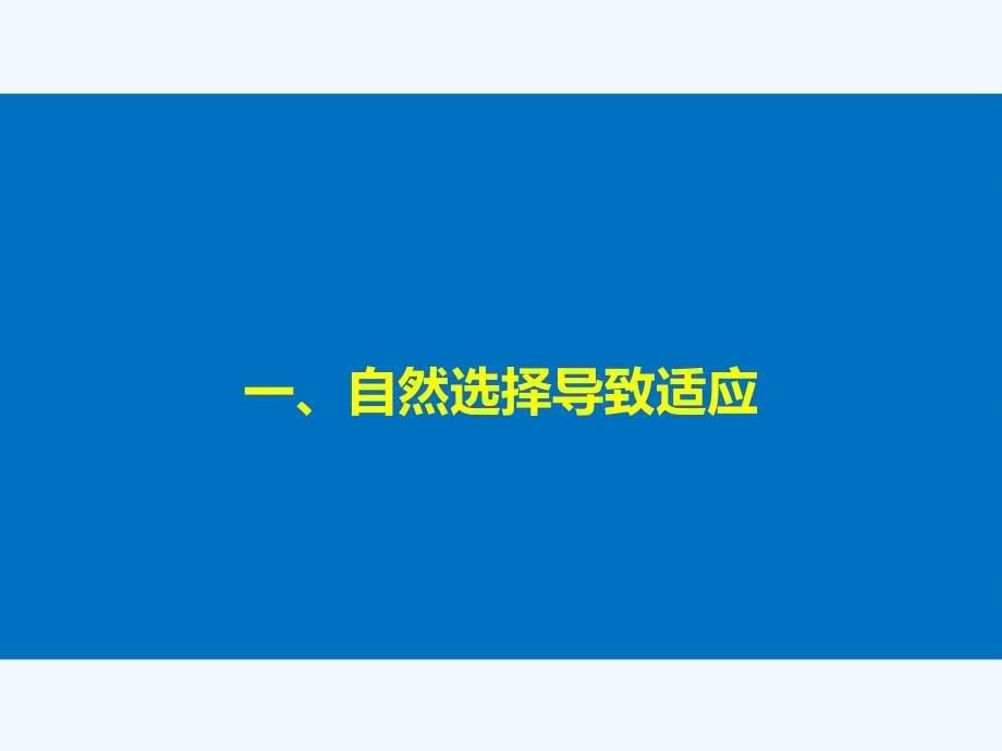 2017-2018学年高中生物 第五章 生物的进化 第二节 进化性变化是怎样发生的（Ⅱ） 浙科版必修2(1)_第5页