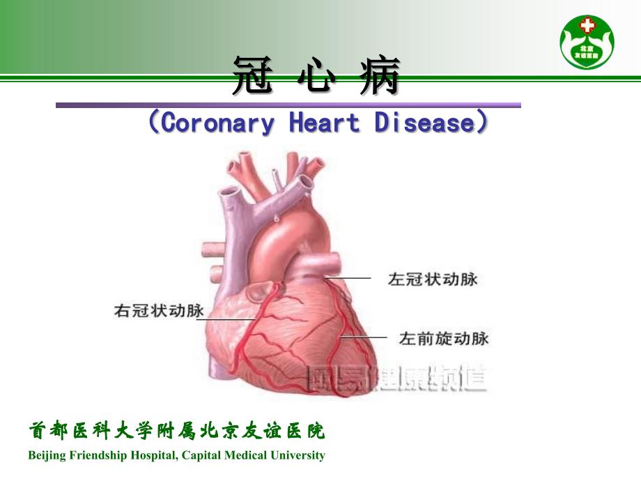 心绞痛与急性心肌梗死的识别培训讲学_第3页