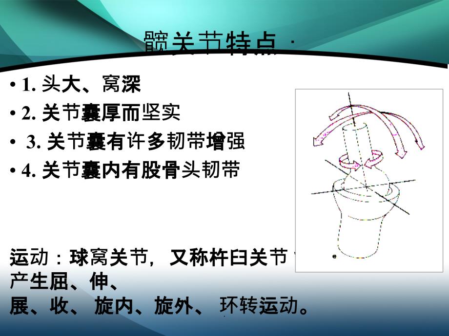 髋部解剖及关节置换手术入路ppt课件_第4页