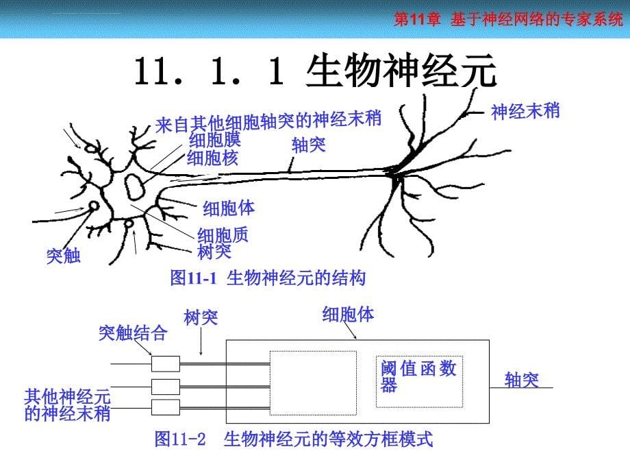 工智能及专家系统(敖志刚)第11章 基于神经网络的专家系统课件_第5页