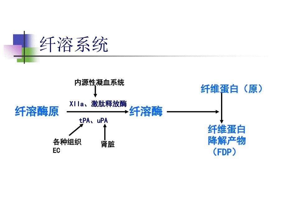 弥散性血管内凝血(DIC)课件_第5页