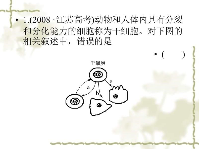 11-12学年高中生物 第六章细胞的生命历程章末小结课件 新人教版必修1_第5页