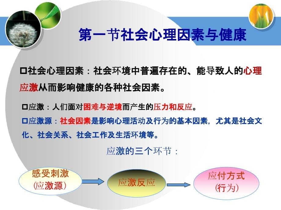 【课件-社会医学】_5-行为心理因素与健康_第5页