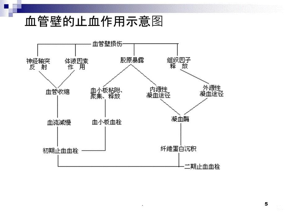 常用出凝血指标的临床意义PPT课件_第5页