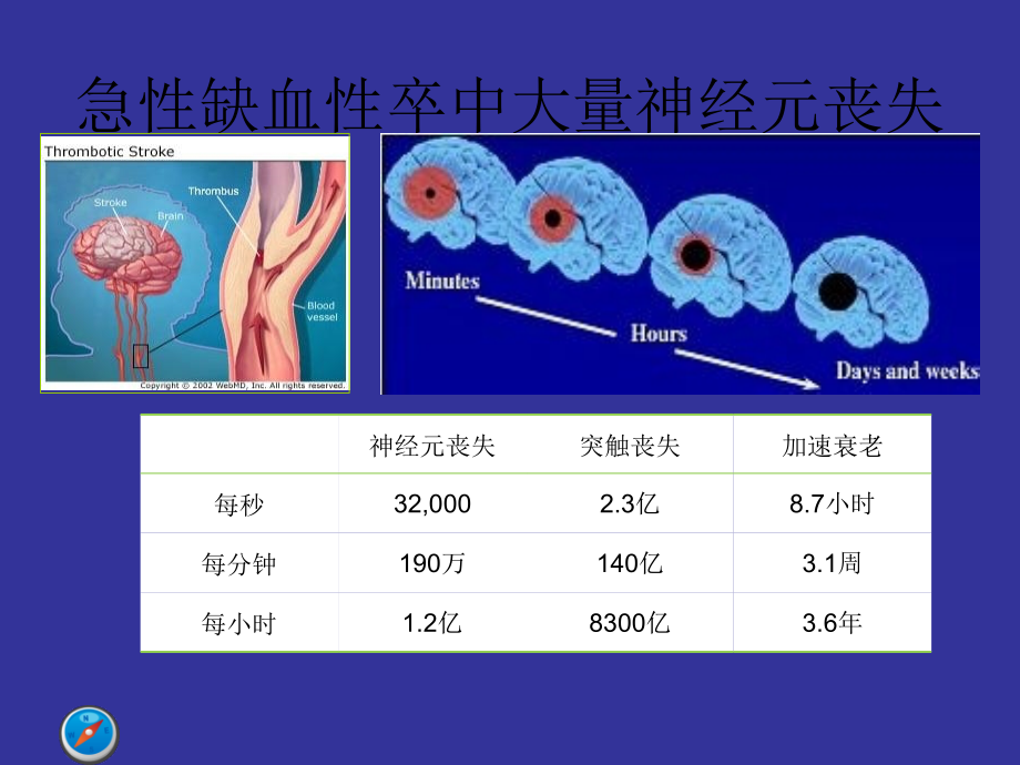 中国急性缺血性脑卒中诊治指南古城教材课程_第3页