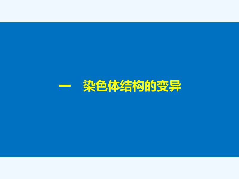 2017-2018学年高中生物 第5章 遗传信息的改变 第22课时 染色体变异(Ⅰ) 北师大版必修2(1)_第4页