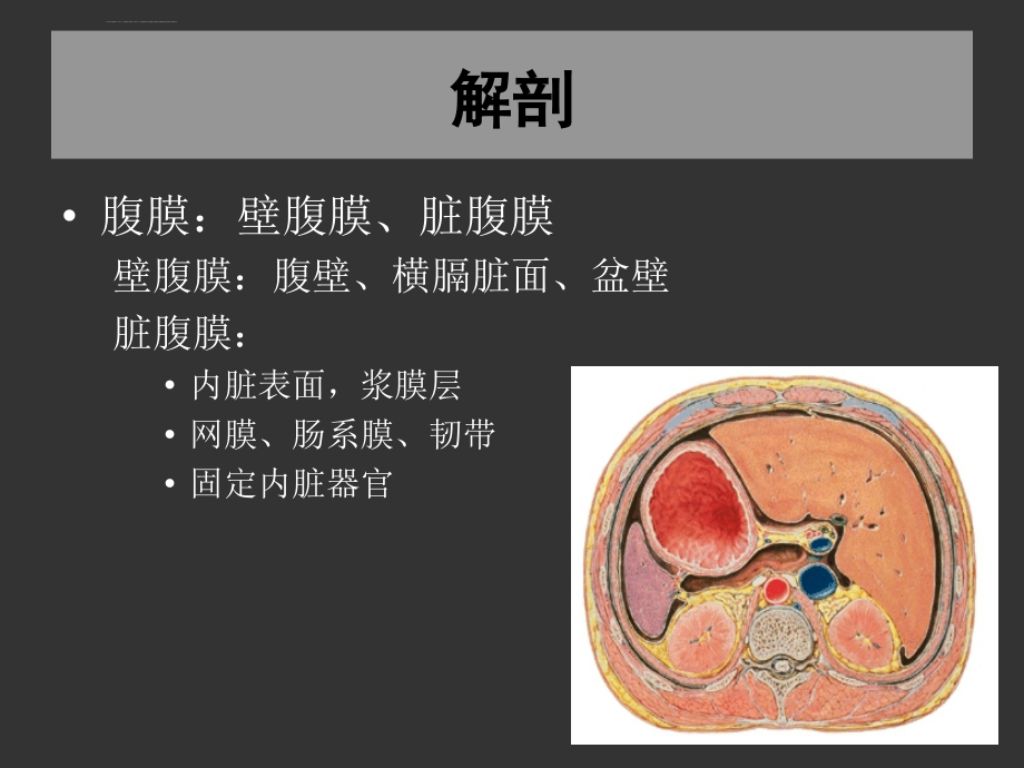 急性化脓性腹膜炎诊断和治疗课件_第3页