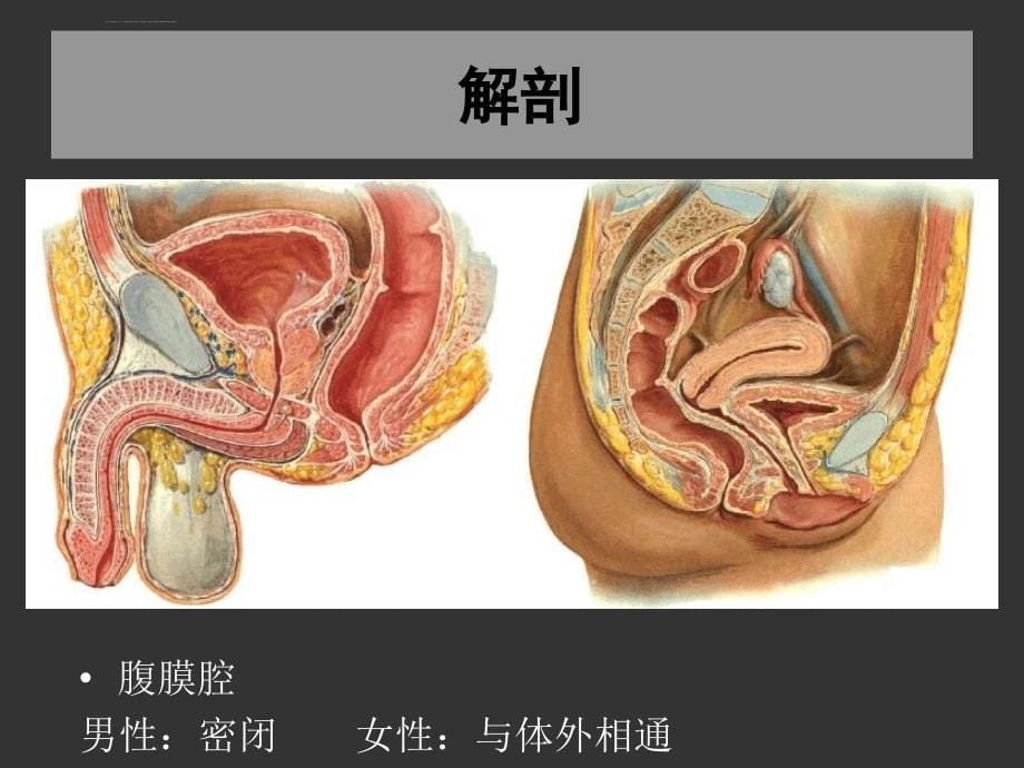 急性化脓性腹膜炎诊断和治疗课件_第5页