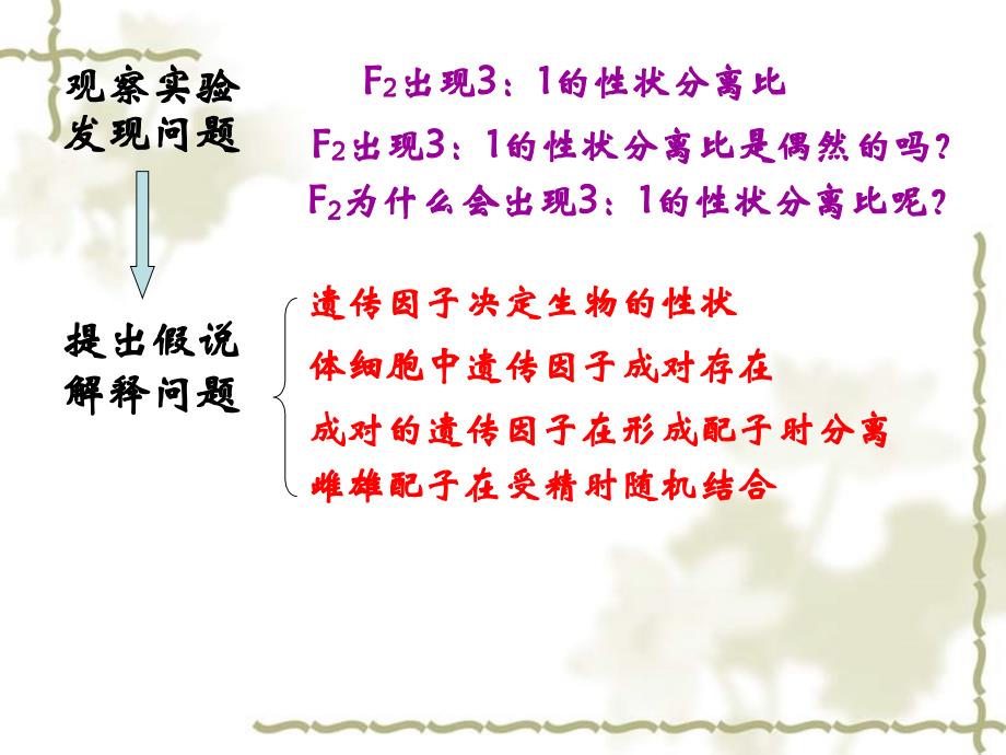 2006年江苏地区高一生物孟德尔的豌豆杂交实验评优课 新课标 人教版_第4页