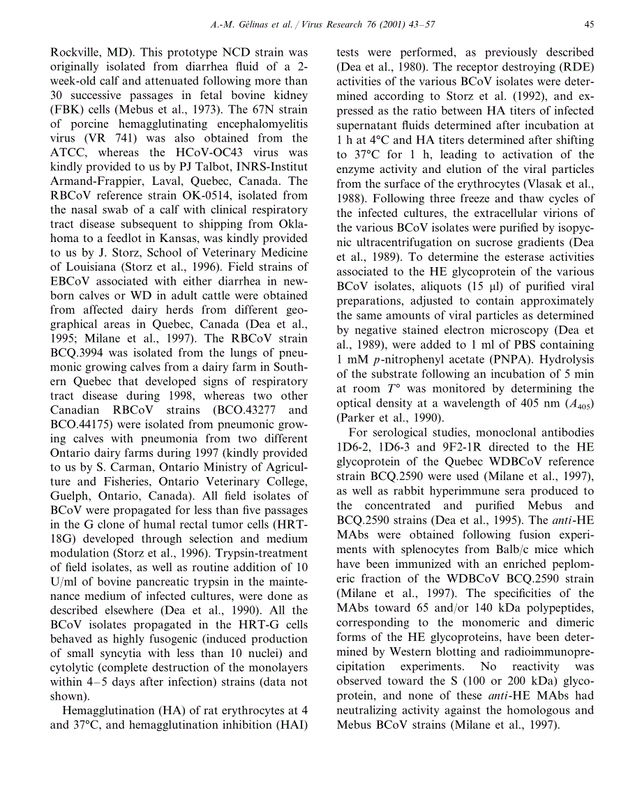 2001 Bovine coronaviruses associated with enteric and respiratory diseases in Canadian dairy cattle display different re_第3页