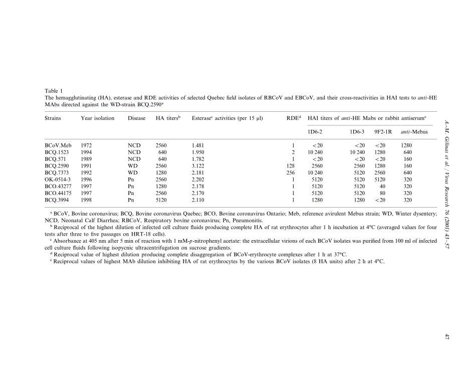 2001 Bovine coronaviruses associated with enteric and respiratory diseases in Canadian dairy cattle display different re_第5页