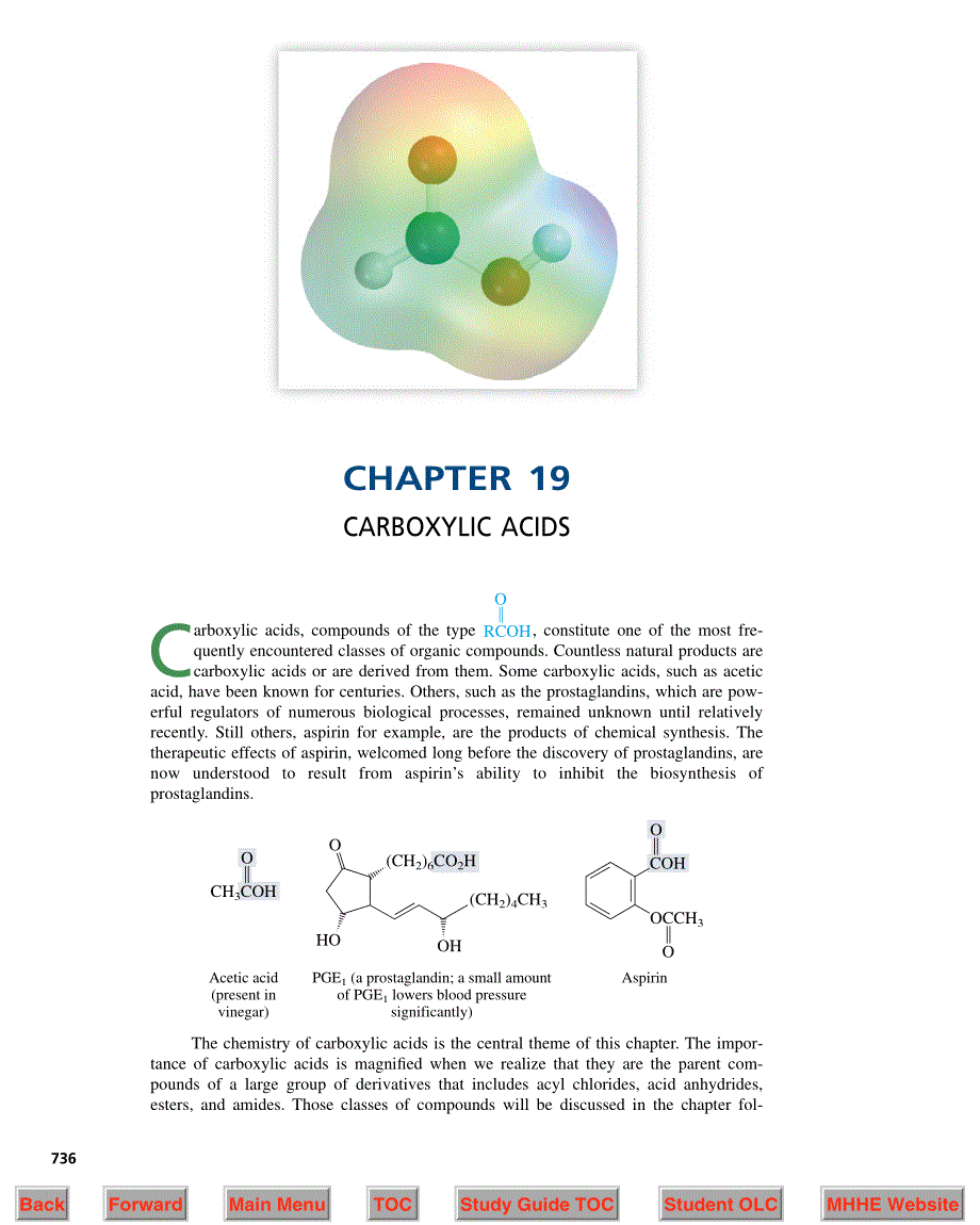 caray-book_Chapt19_第1页