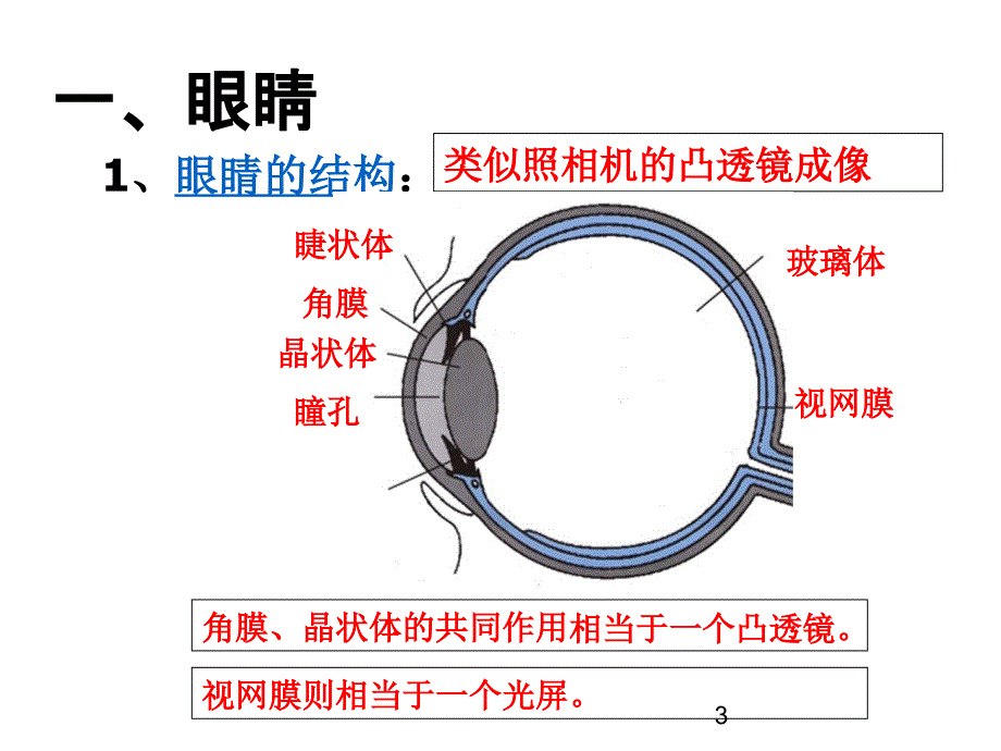 人教版八年级上册物理眼睛与眼镜_第3页