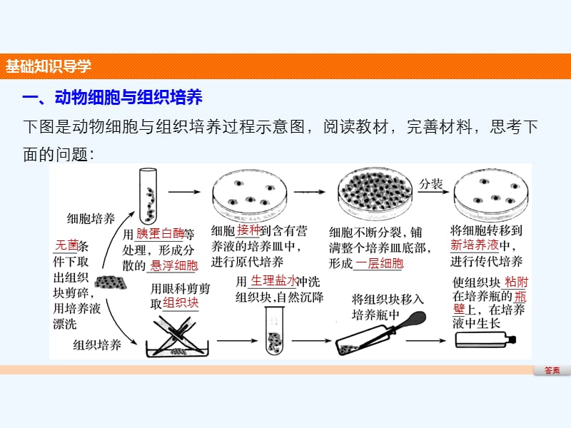 2017-2018学年高中生物 第二章 细胞工程 第8课时 动物细胞培养和细胞核移植技术 苏教版选修3(1)_第4页