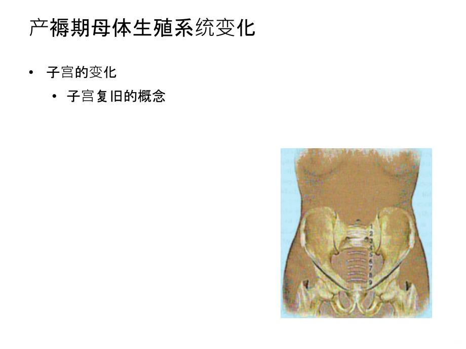 产妇产后保健要点指导PPT课件_第3页