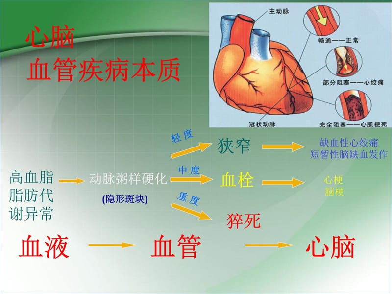 心脑血管疾病与脂质细胞异常的关系知识分享_第4页