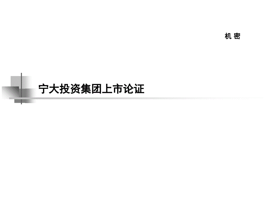 宁大投资集团上市论证教学教案_第1页