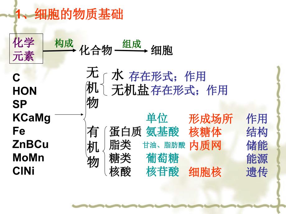 2006年重庆地区荣昌中学高三生物细胞专题总复习课件_第3页