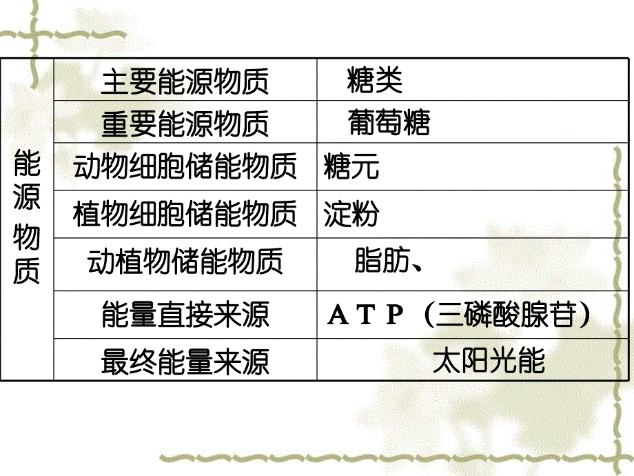 2006年重庆地区荣昌中学高三生物细胞专题总复习课件_第4页