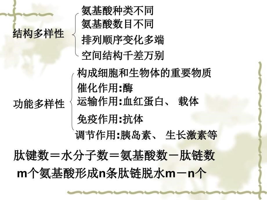 2006年重庆地区荣昌中学高三生物细胞专题总复习课件_第5页