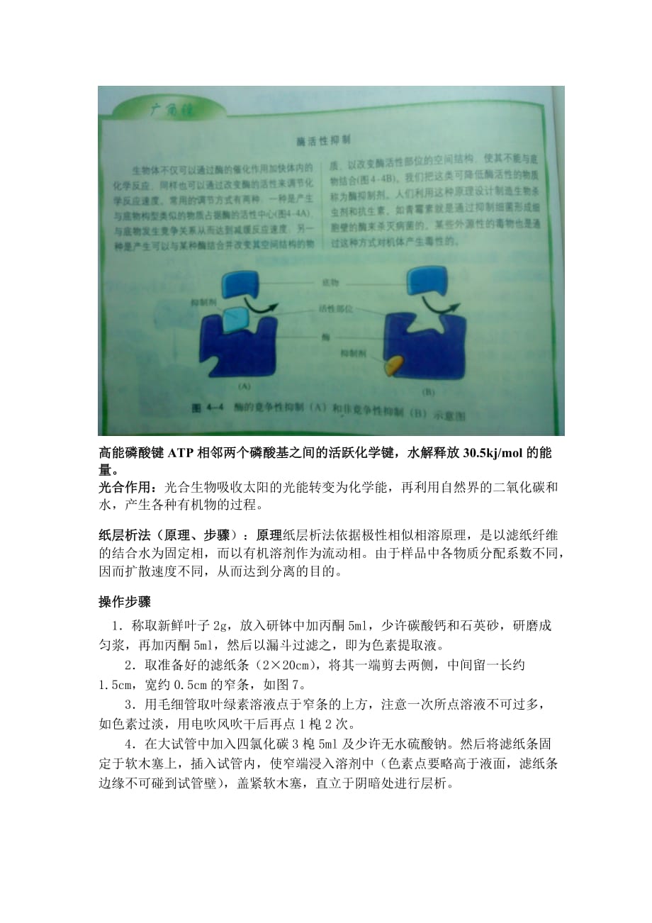 上海全国高中生物教材一册整理_第4页