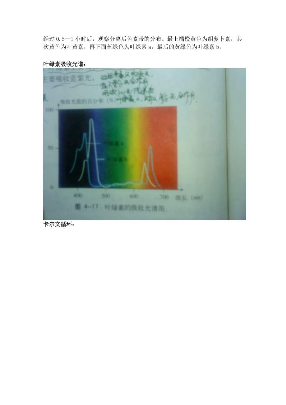 上海全国高中生物教材一册整理_第5页