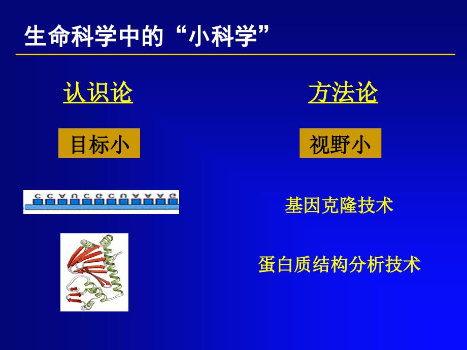 第二章systembiology精编版_第3页