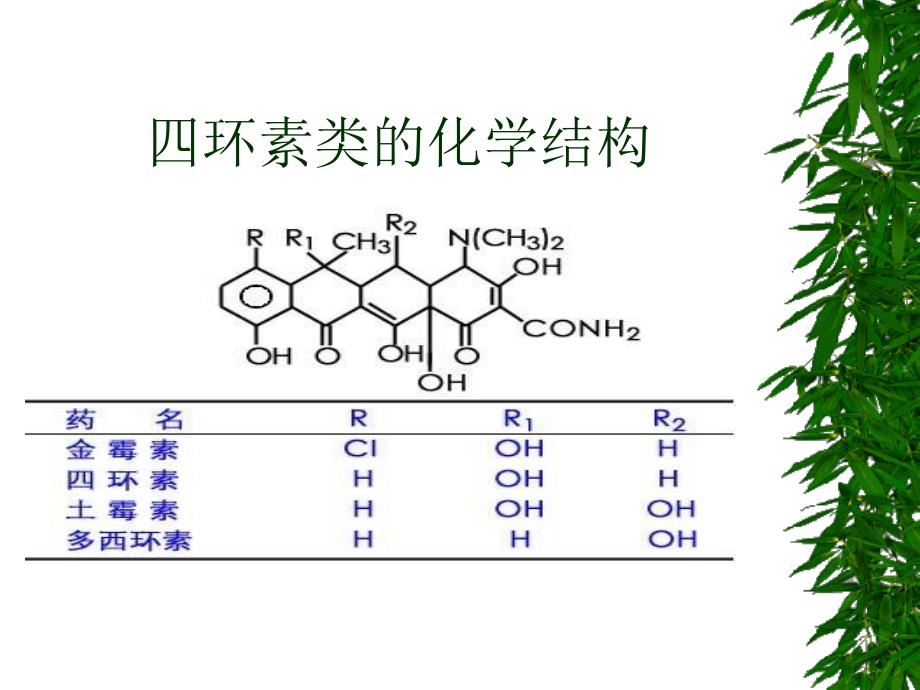 广谱抗生素课件_第4页