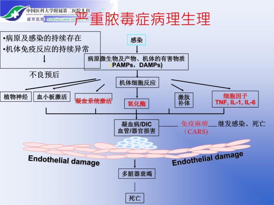 脓毒症休克的血流动力学及治疗策略-刘春峰知识讲解_第4页