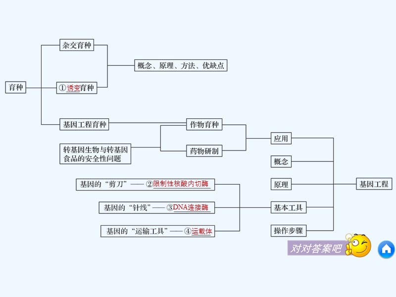 2017-2018学年高中生物 第六章 从杂交育种到基因工程章末整合提升 新人教版必修2(1)_第4页