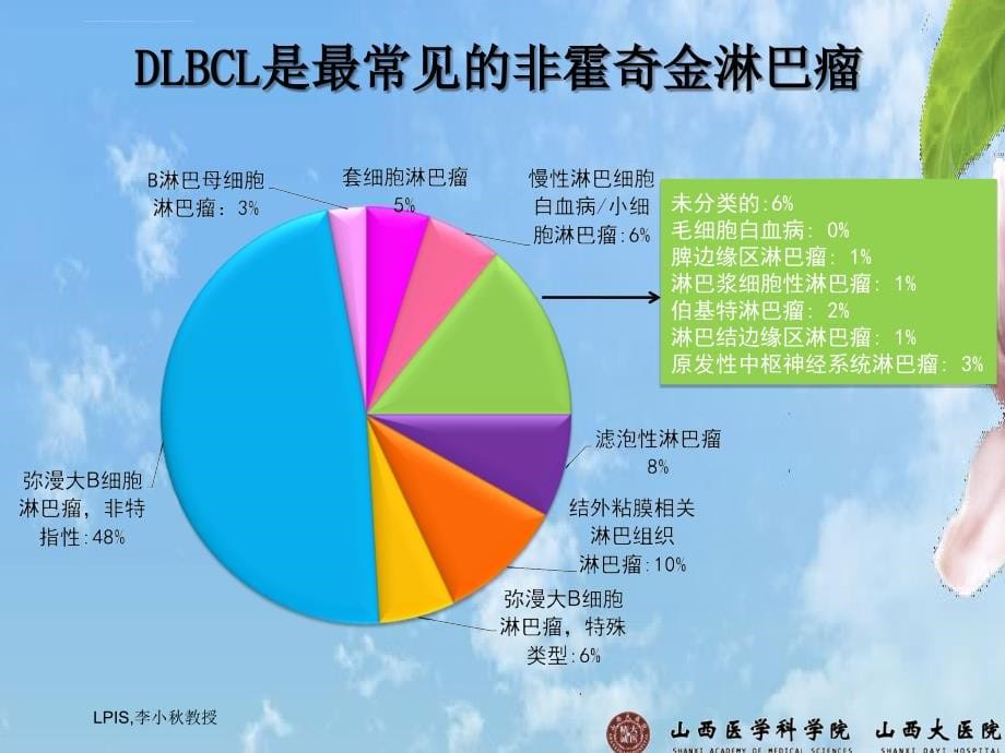 弥漫大B细胞淋巴瘤规范化治疗课件_第5页