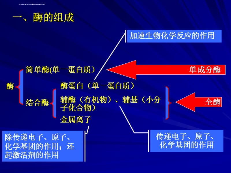 微生物的生理ppt课件_第3页