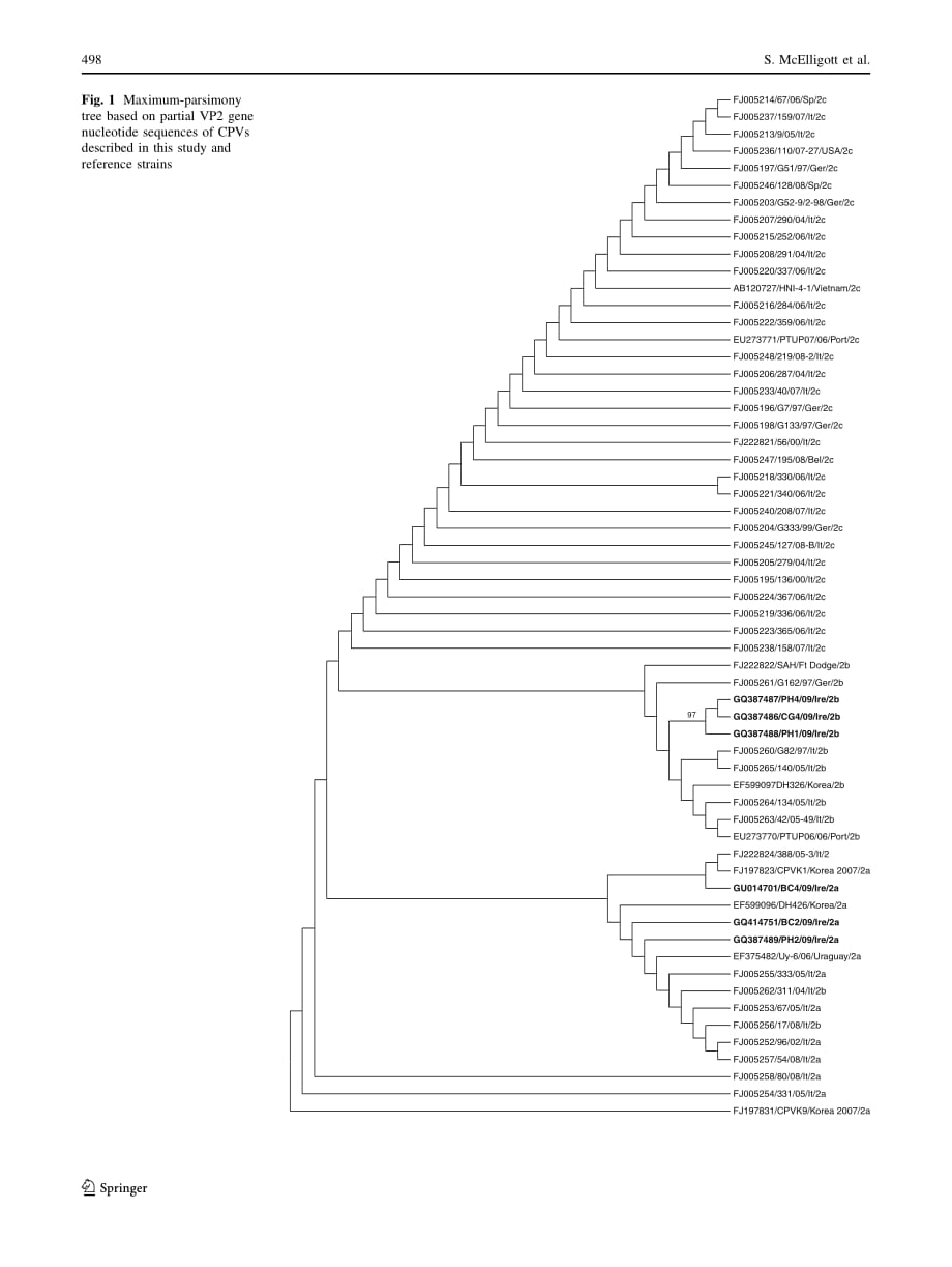 2011 Detection and genetic characterization of canine parvoviruses and coronaviruses in southern Ireland_第4页