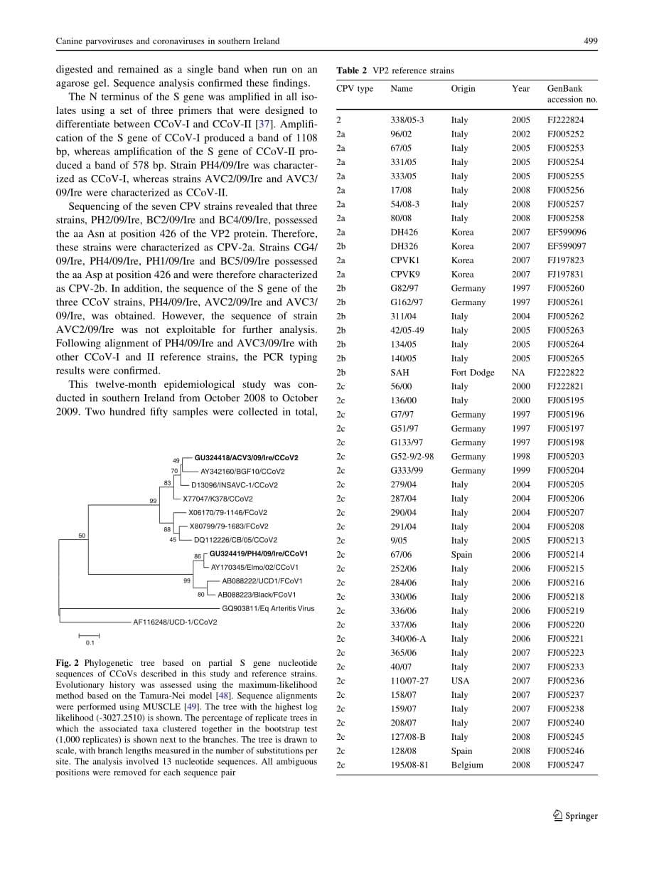 2011 Detection and genetic characterization of canine parvoviruses and coronaviruses in southern Ireland_第5页