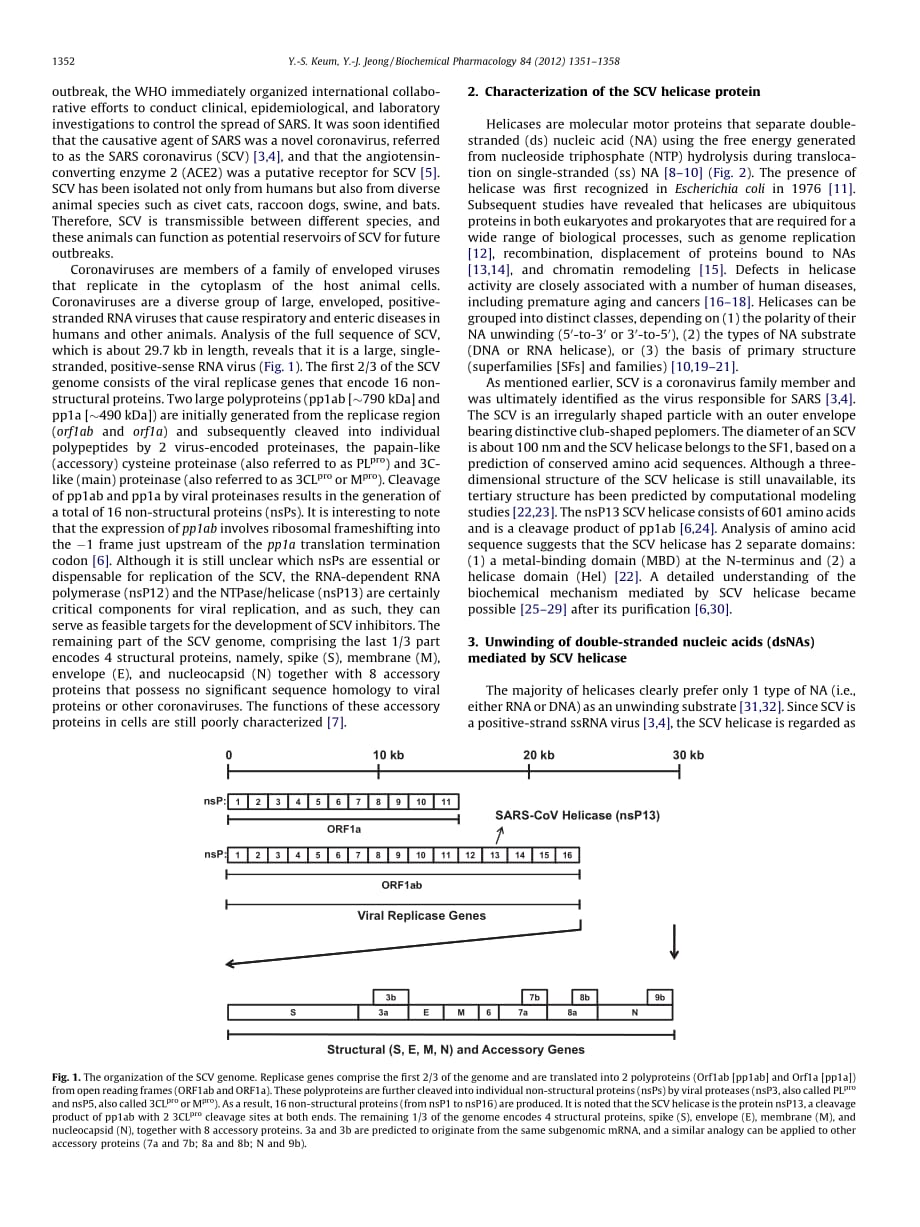 2012 Development of chemical inhibitors of the SARS coronavirus_ Viral helicase as a potential target_第2页