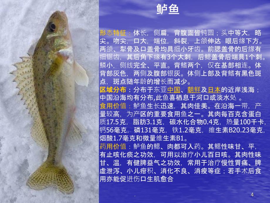 海洋生物学海洋鱼类介绍PPT课件_第4页