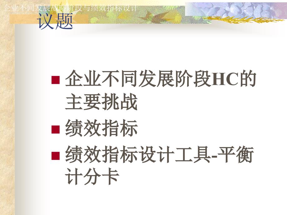 德勤―企业不同发展阶段与绩效指标课件_第2页