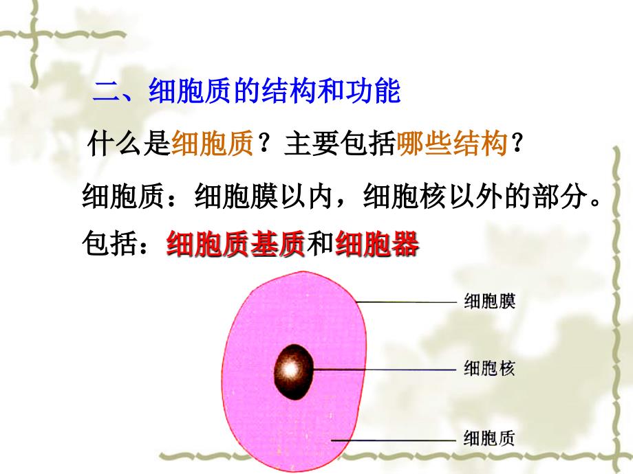 2005-2006年广东省高二生物细胞质以及各种细胞器_第1页