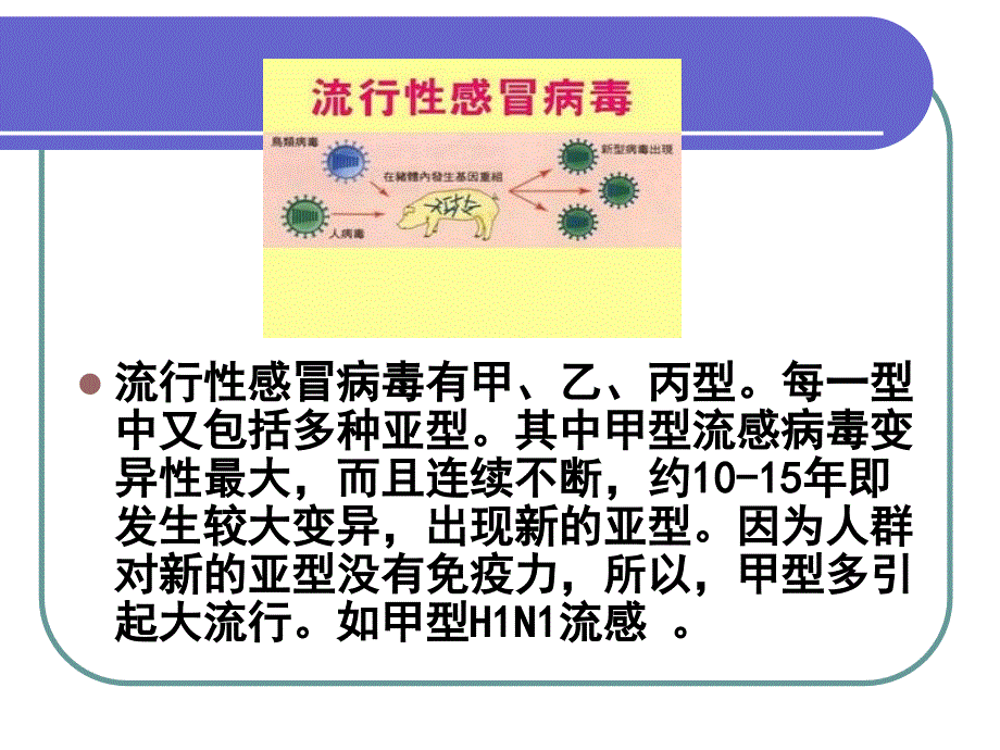 夏季常见疾病的预防资料讲解_第3页