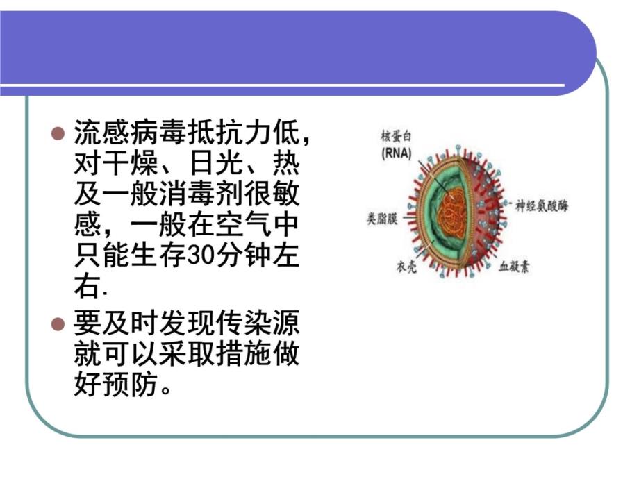 夏季常见疾病的预防资料讲解_第4页